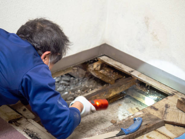 Best Office Mold Removal Services  in Gosport, IN