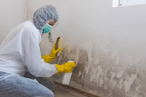Best Mold Testing  in Gosport, IN