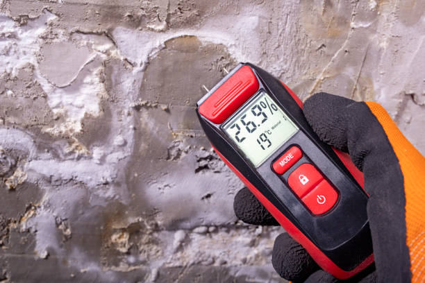 Best Mold Removal Company Near Me  in Gosport, IN