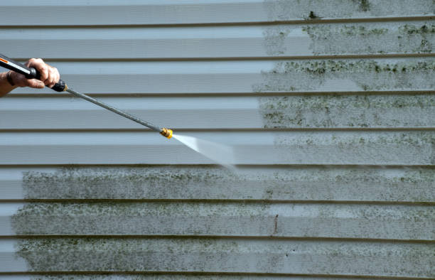 Best Toxic Mold Removal  in Gosport, IN