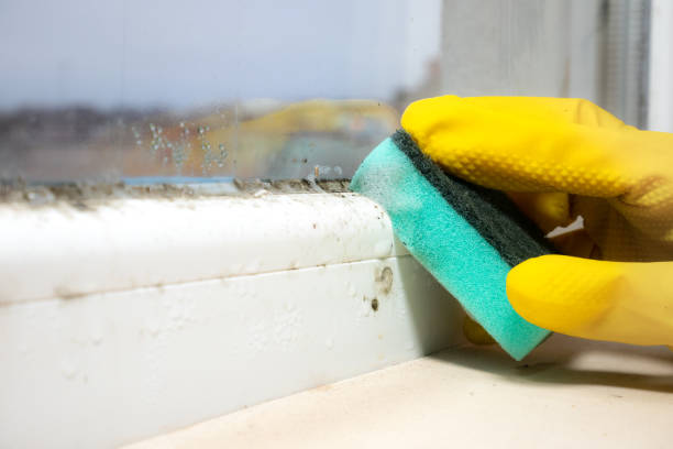 Crawl Space Mold Removal in Gosport, IN