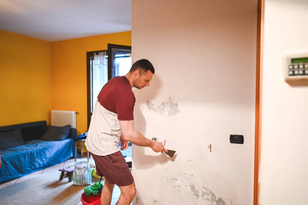 Best Toxic Mold Removal  in Gosport, IN
