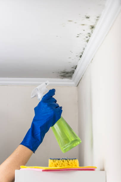 Best Emergency Mold Removal  in Gosport, IN